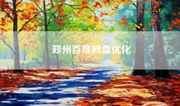 郑州百度网盘优化