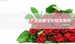 公司治理视角下企业数字化转型探析