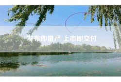 发布即量产 上市即交付