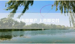 发布即量产 上市即交付