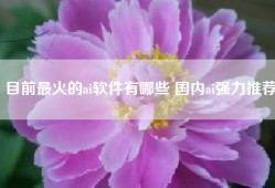目前最火的ai软件有哪些 国内ai强力推荐