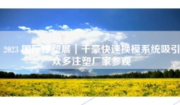 2023 国际橡塑展｜千豪快速换模系统吸引众多注塑厂家参观