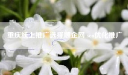 重庆线上推广选择顺企网 seo优化推广