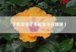 手机宝令（手机宝令在哪里）