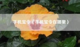 手机宝令（手机宝令在哪里）