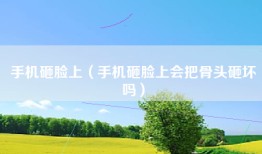 手机砸脸上（手机砸脸上会把骨头砸坏吗）