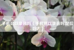 手机可以录音吗（手机可以录音吗,定位吗？）