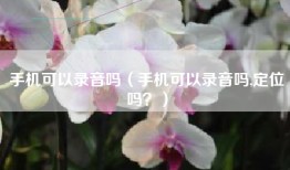 手机可以录音吗（手机可以录音吗,定位吗？）