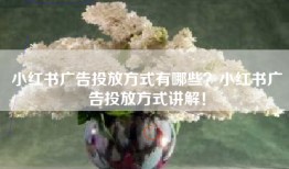 小红书广告投放方式有哪些？小红书广告投放方式讲解！