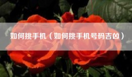 如何挑手机（如何挑手机号码吉凶）