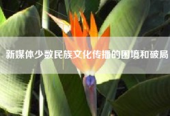 新媒体少数民族文化传播的困境和破局