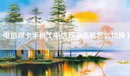 电信双卡手机（电信双卡手机怎么切换）
