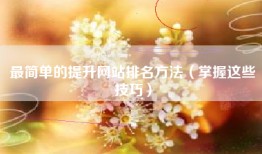 最简单的提升网站排名方法（掌握这些技巧）