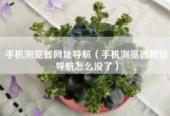 手机浏览器网址导航（手机浏览器网址导航怎么没了）