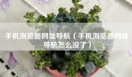 手机浏览器网址导航（手机浏览器网址导航怎么没了）