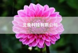 北象科技有限公司