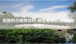 实用的小程序百科-微信有哪些好用的小程序？