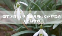 李子柒归来：为何她是当代文化符号的无可替代者