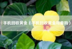 手机回收黄金（手机回收黄金可靠吗）