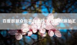 百度数据众包平台上线 专注数据源加工与定制