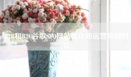 B2B和B2C谷歌SEO网站优化和运营异同对比