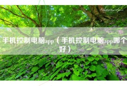 手机控制电脑app（手机控制电脑app哪个好）