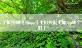 手机控制电脑app（手机控制电脑app哪个好）