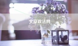 北京政法网