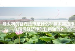 意大利的官方货币是什么？意大利货币在国际经济中的作用如何？
