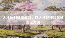 人才体制机制创新：以人才管理改革试验区为例