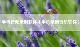 手机音频录制软件（手机录制音乐软件）