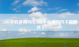 128G手机够用吗（128g手机够用吗不玩游戏）