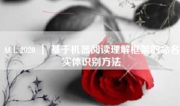 ACL 2020 ｜ 基于机器阅读理解框架的命名实体识别方法