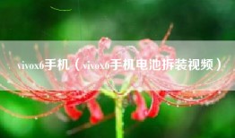 vivox6手机（vivox6手机电池拆装视频）