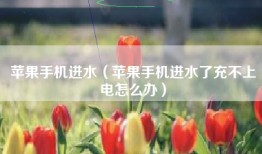 苹果手机进水（苹果手机进水了充不上电怎么办）