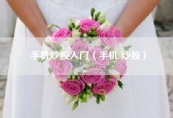 手机炒股入门（手机 炒股）