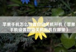 苹果手机怎么设置自动关机开机（苹果手机设置自动关机开机在哪里）
