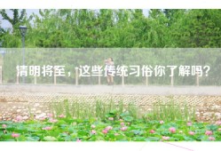 清明将至，这些传统习俗你了解吗？