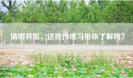 清明将至，这些传统习俗你了解吗？