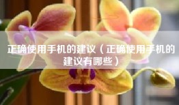 正确使用手机的建议（正确使用手机的建议有哪些）