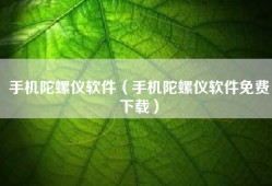 手机陀螺仪软件（手机陀螺仪软件免费下载）