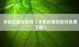 手机陀螺仪软件（手机陀螺仪软件免费下载）