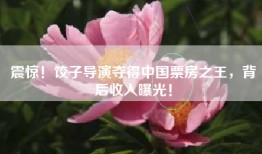 震惊！饺子导演夺得中国票房之王，背后收入曝光！