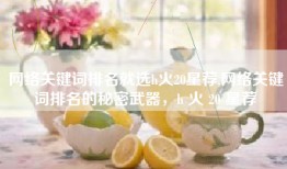 网络关键词排名就选h火20星荐,网络关键词排名的秘密武器，h 火 20 星荐