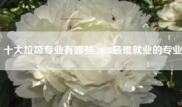 十大垃圾专业有哪些 2023最难就业的专业