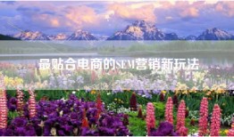 最贴合电商的SEM营销新玩法