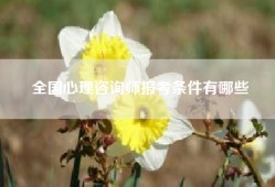 全国心理咨询师报考条件有哪些