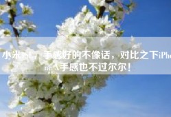 小米9SE，手感好的不像话，对比之下iPhone X手感也不过尔尔！