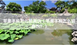 苹果手机怎么验真伪（苹果手机怎么验真伪？）