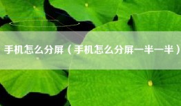 手机怎么分屏（手机怎么分屏一半一半）